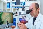 Wissenschaftler Biopsieproben untersucht Lizenzfreie Bilder - 24930522